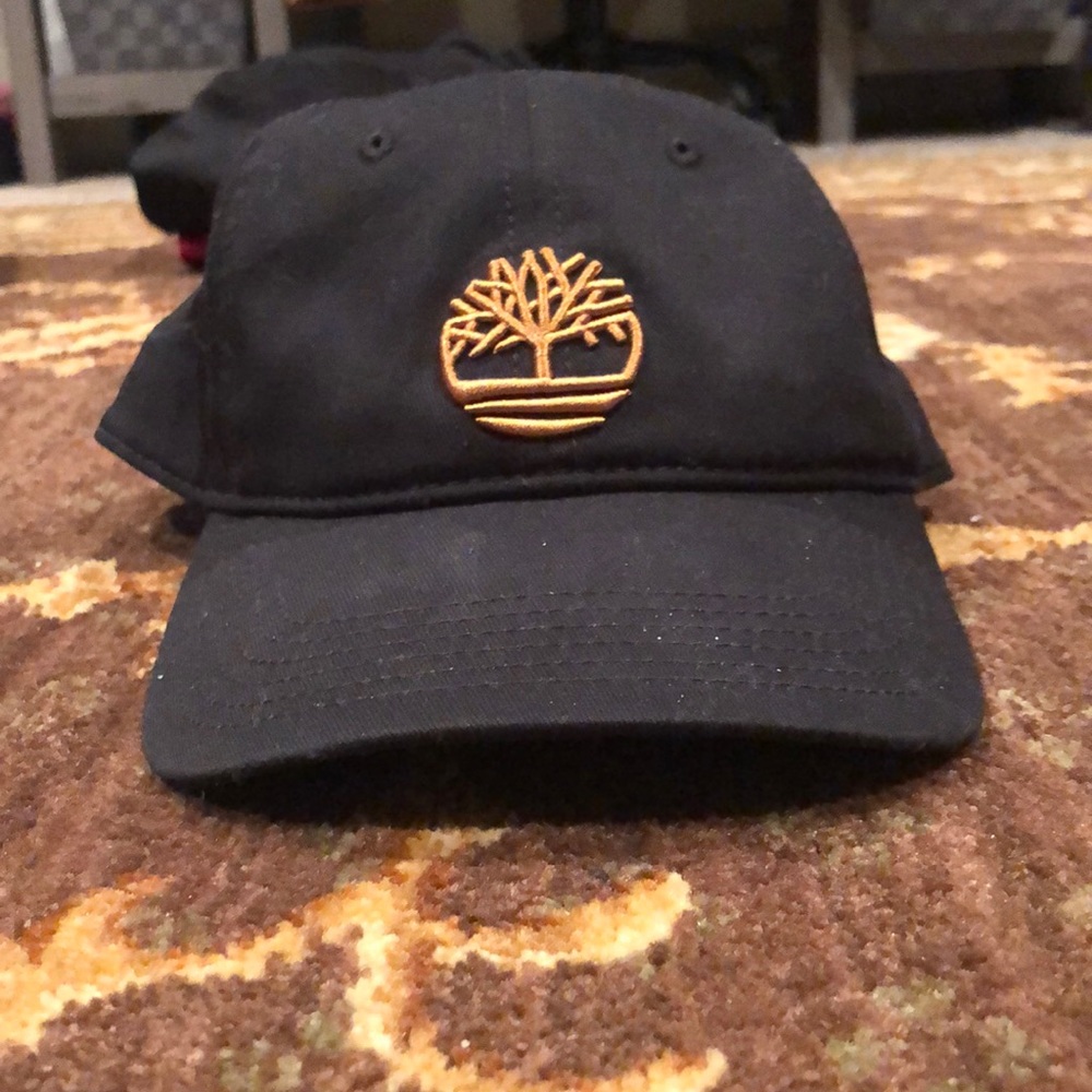 Timberland dad hat strap back